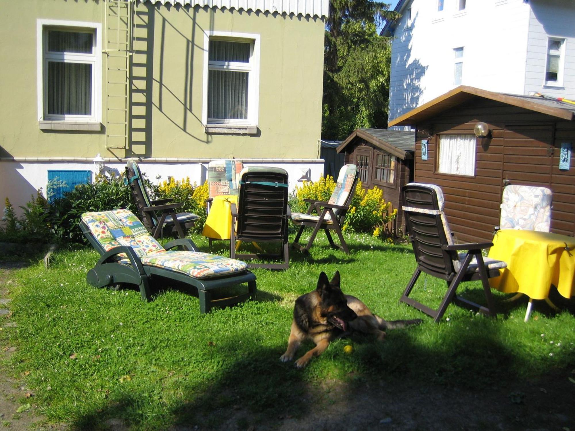 Hotel Fernblick Bad Harzburg Exterior photo